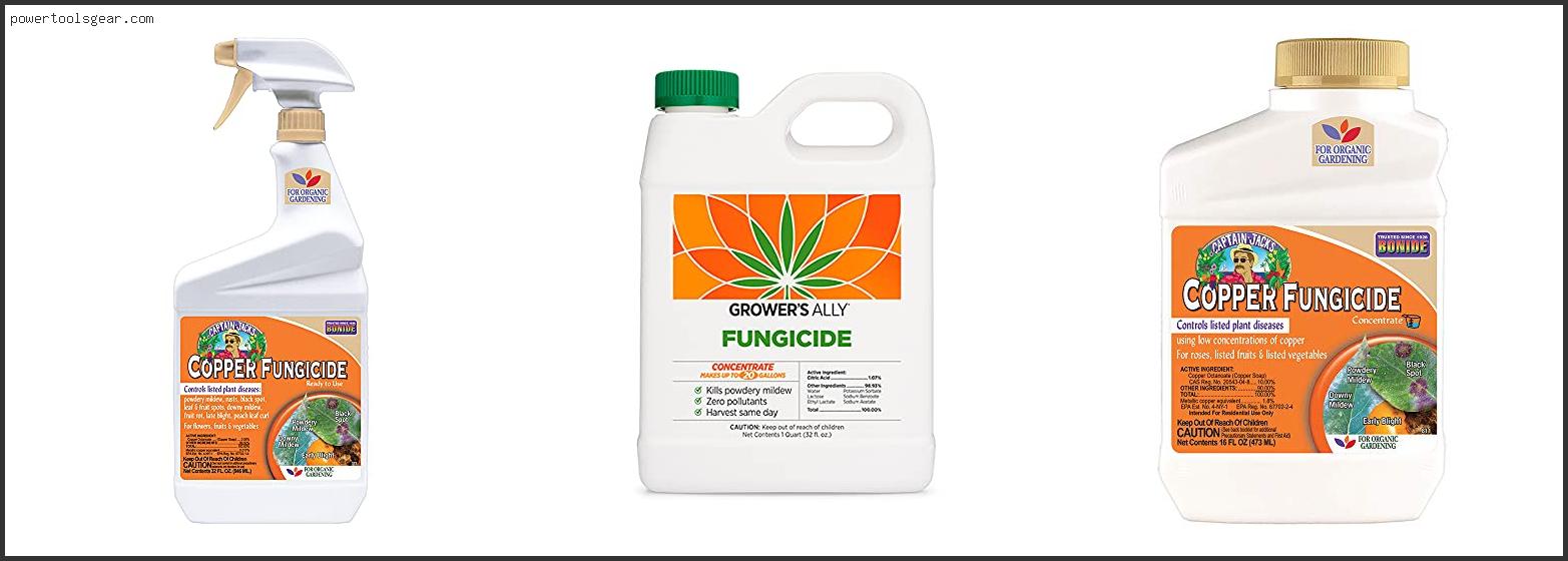 Best Organic Fungicide