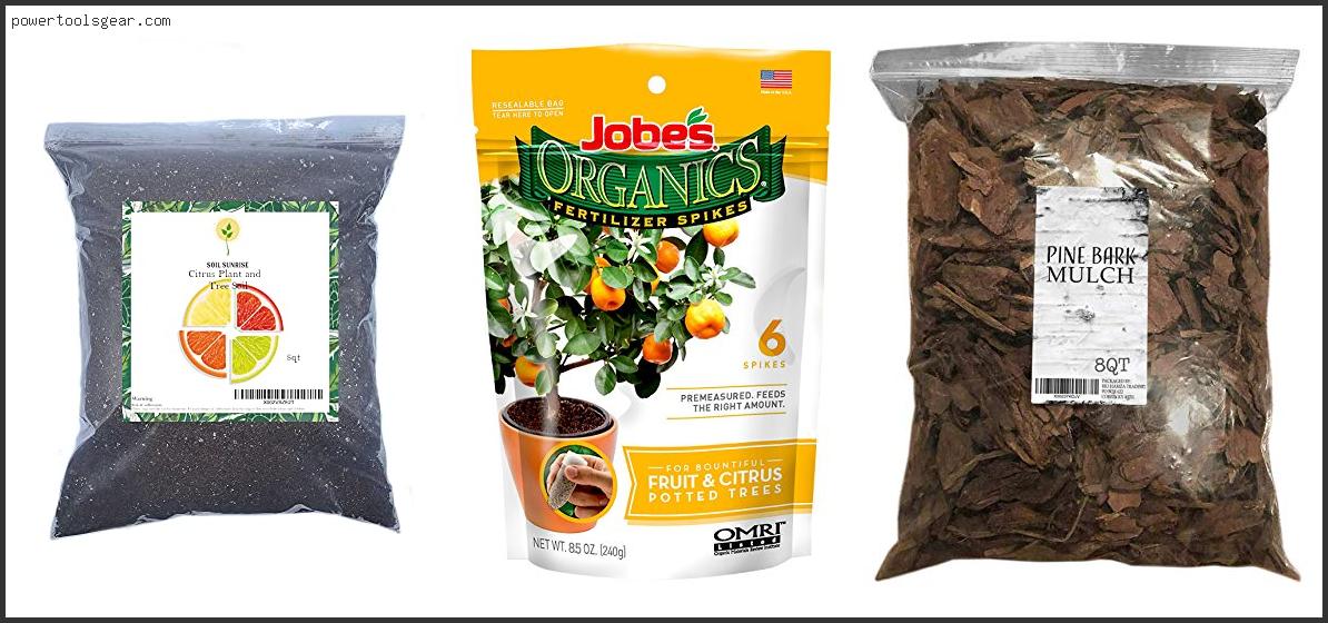 Best Mulch For Citrus Trees