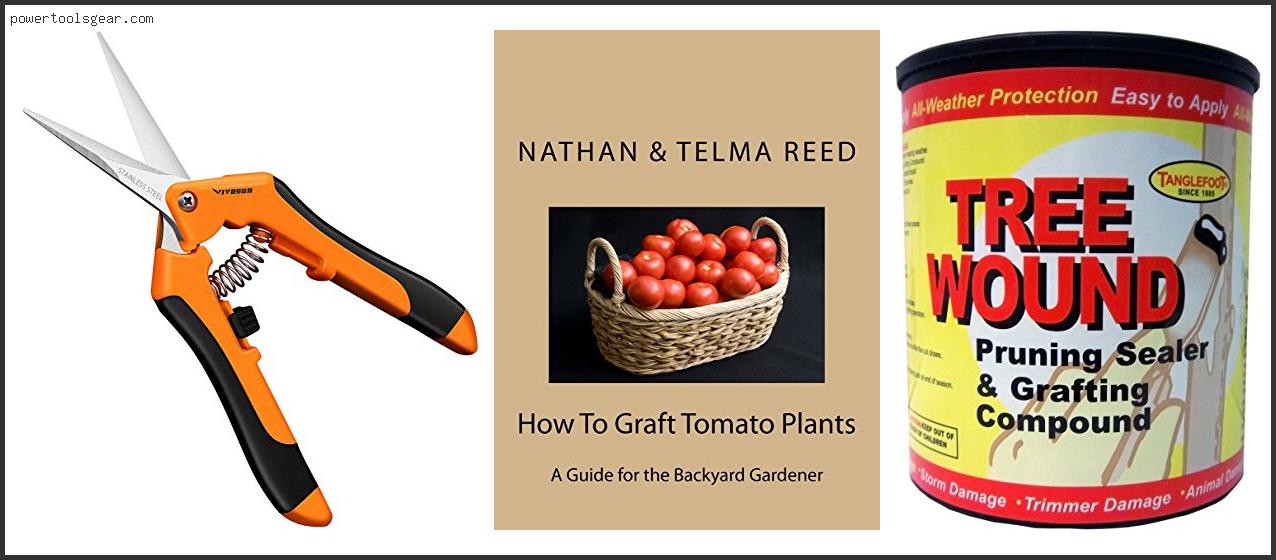 Best Rootstock For Grafting Tomatoes