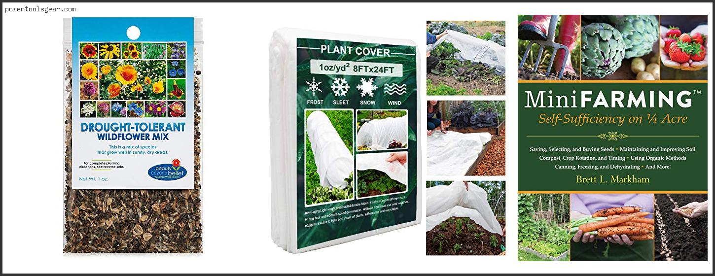 Best Ground Cover Plants For Utah