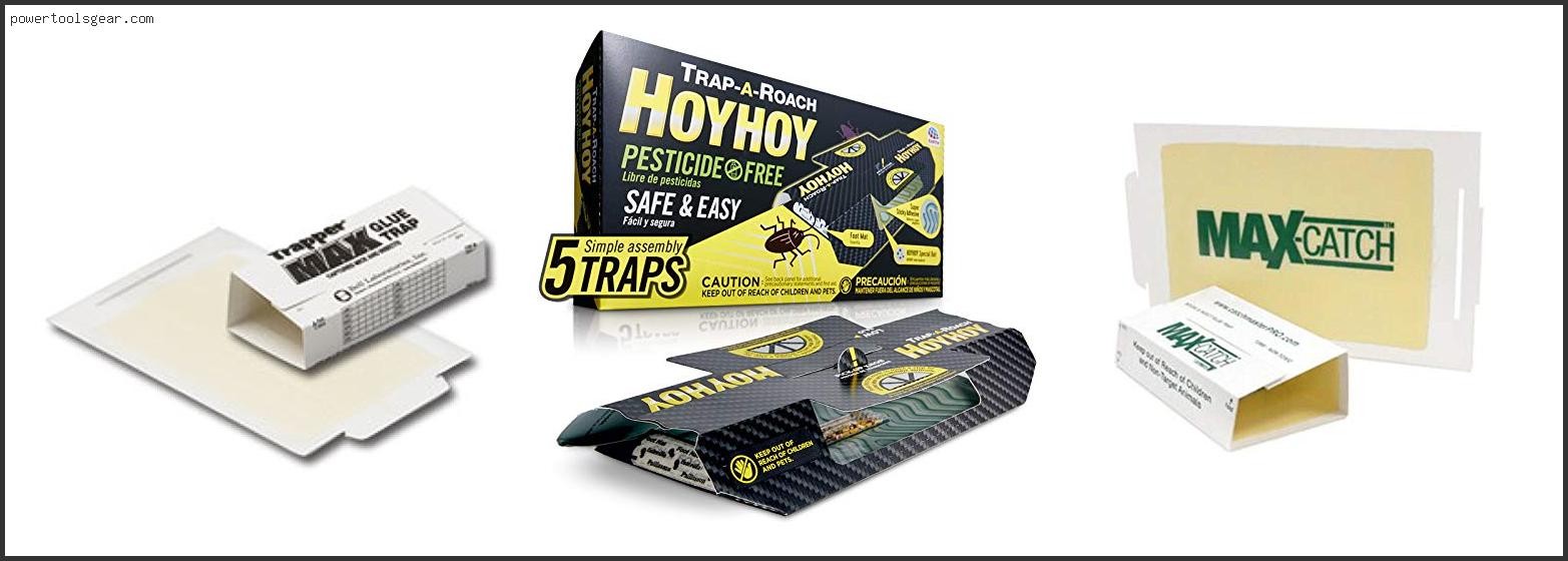 Best Sticky Roach Traps