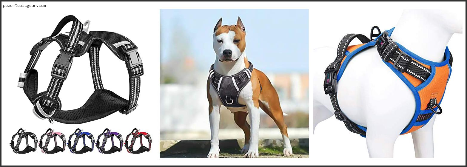 Best Large Breed Dog Harness