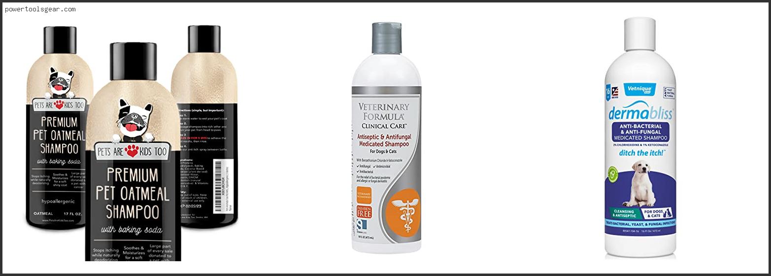 Best Cat Shampoo For Allergies