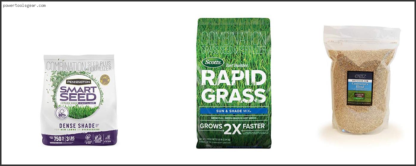 Best Grass Seed For Raleigh Nc