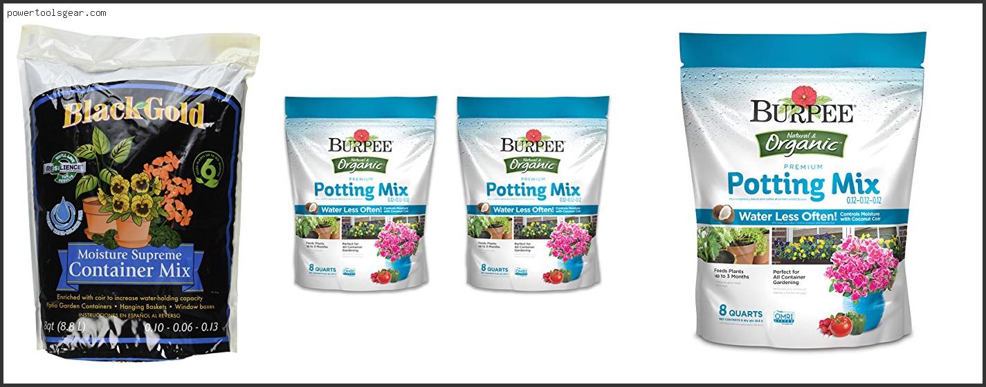 Best Potting Mix For Roses