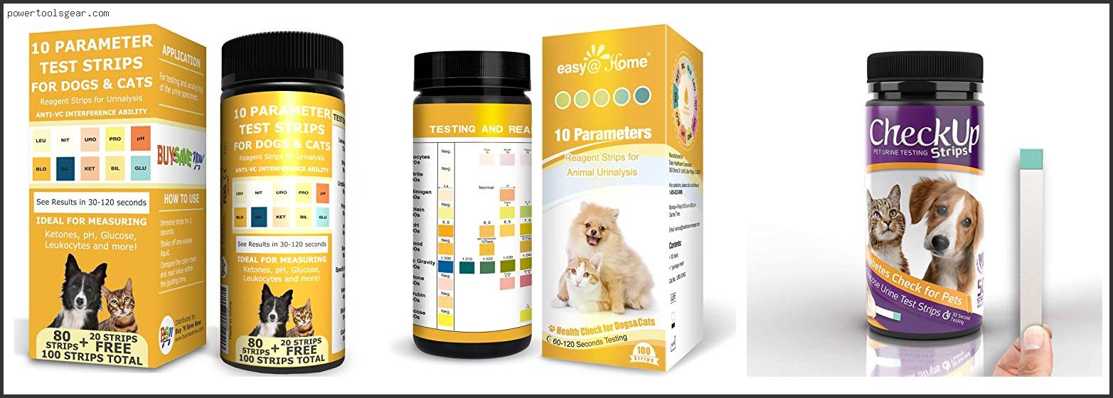 Best Urine Test Strips For Dogs