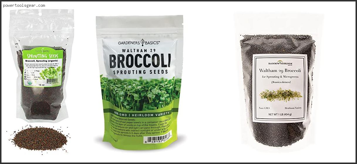 Best Broccoli Seeds For Sprouting