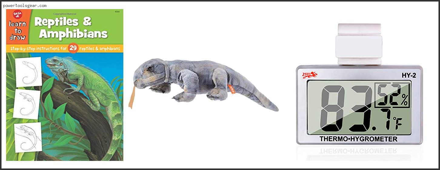 Best Beginner Monitor Lizard