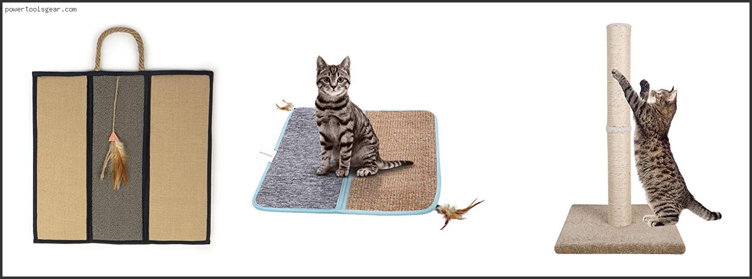 Best Carpet For Cats With Claws