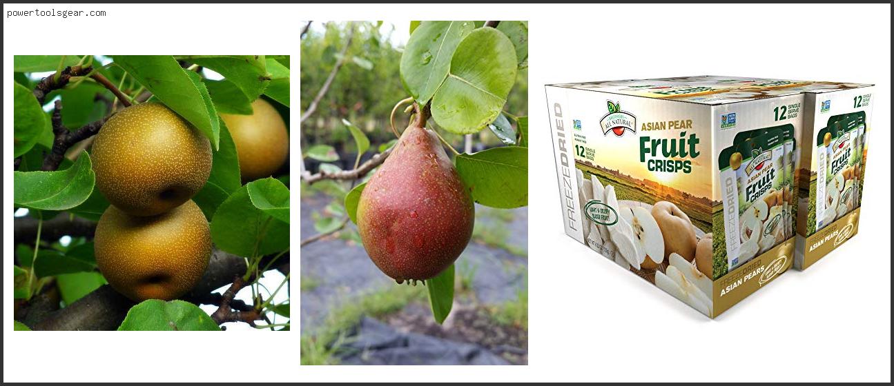 Best Asian Pear Trees