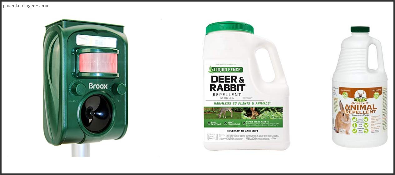 Best Rabbit And Squirrel Repellent