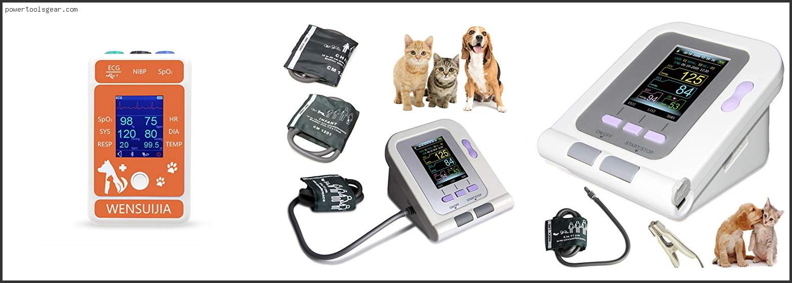 Best Blood Pressure Monitor For Cats