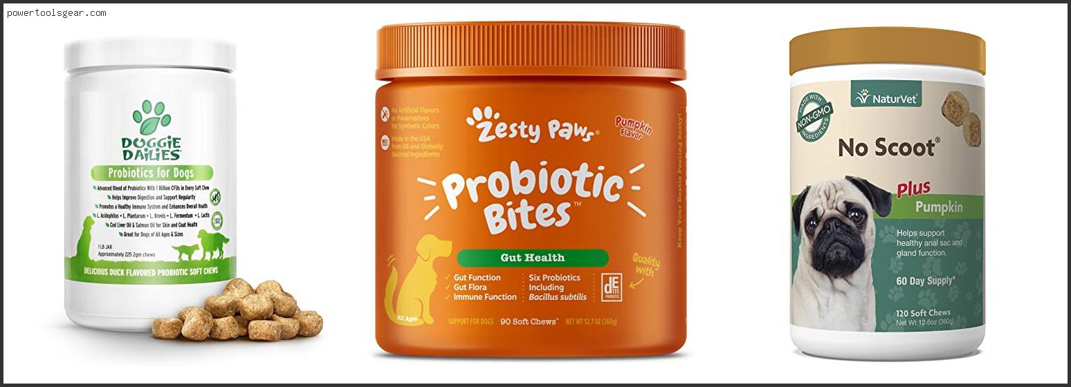 Best Anti Poop Eating Pills For Dogs