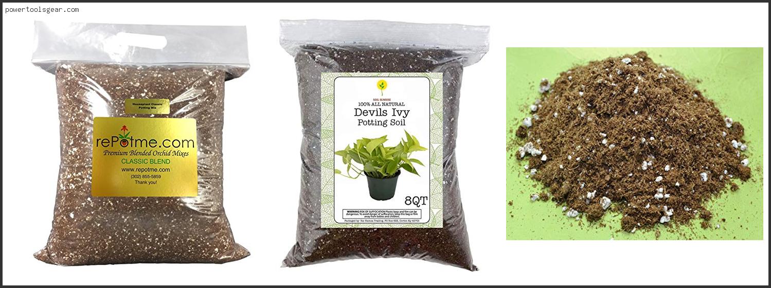 Best Potting Soil For Ivy