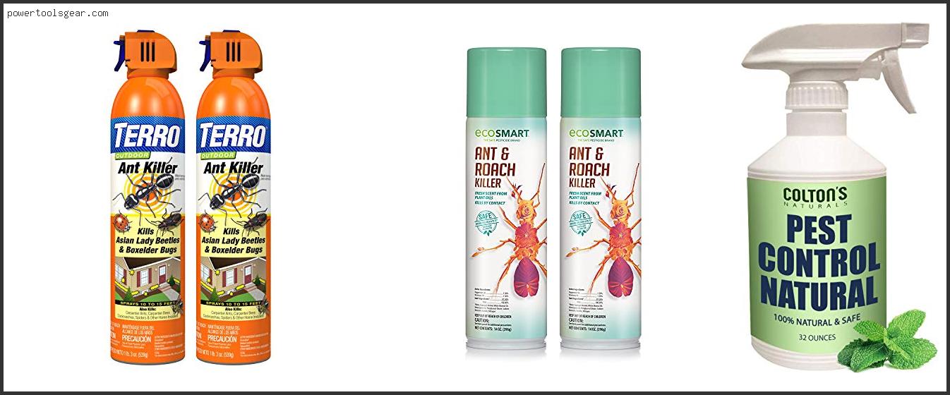 Best Ant Spray For Around The House