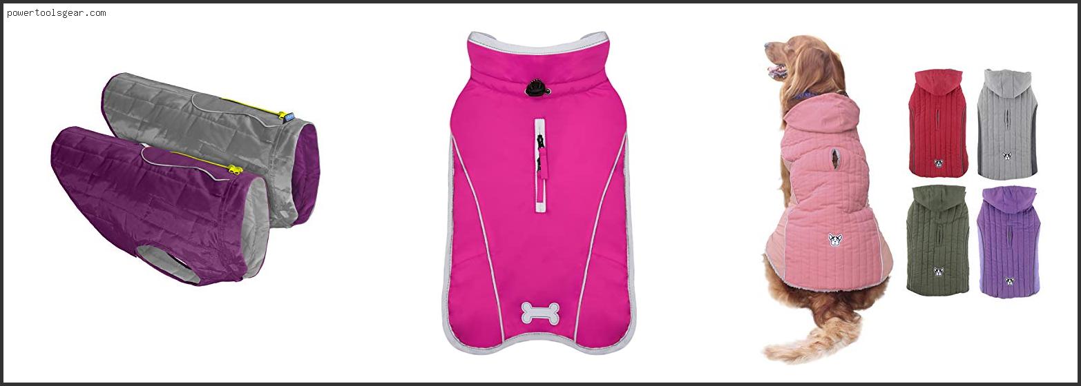 Best Dog Coat With Harness Hole